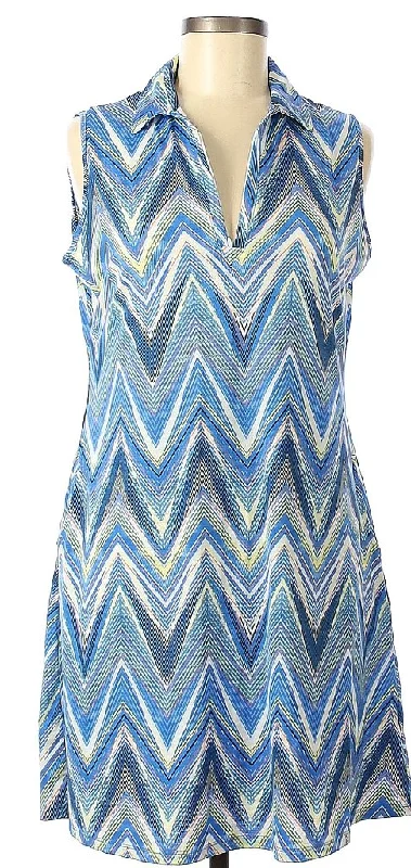 Sport Haley Sleeveless Dress in Blue & White Pattern Size M  MSP$